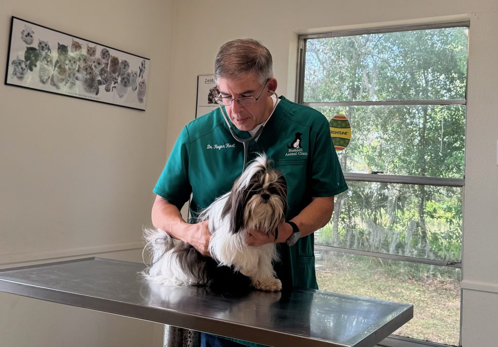 Dr Roger Hart DVM examining a dog